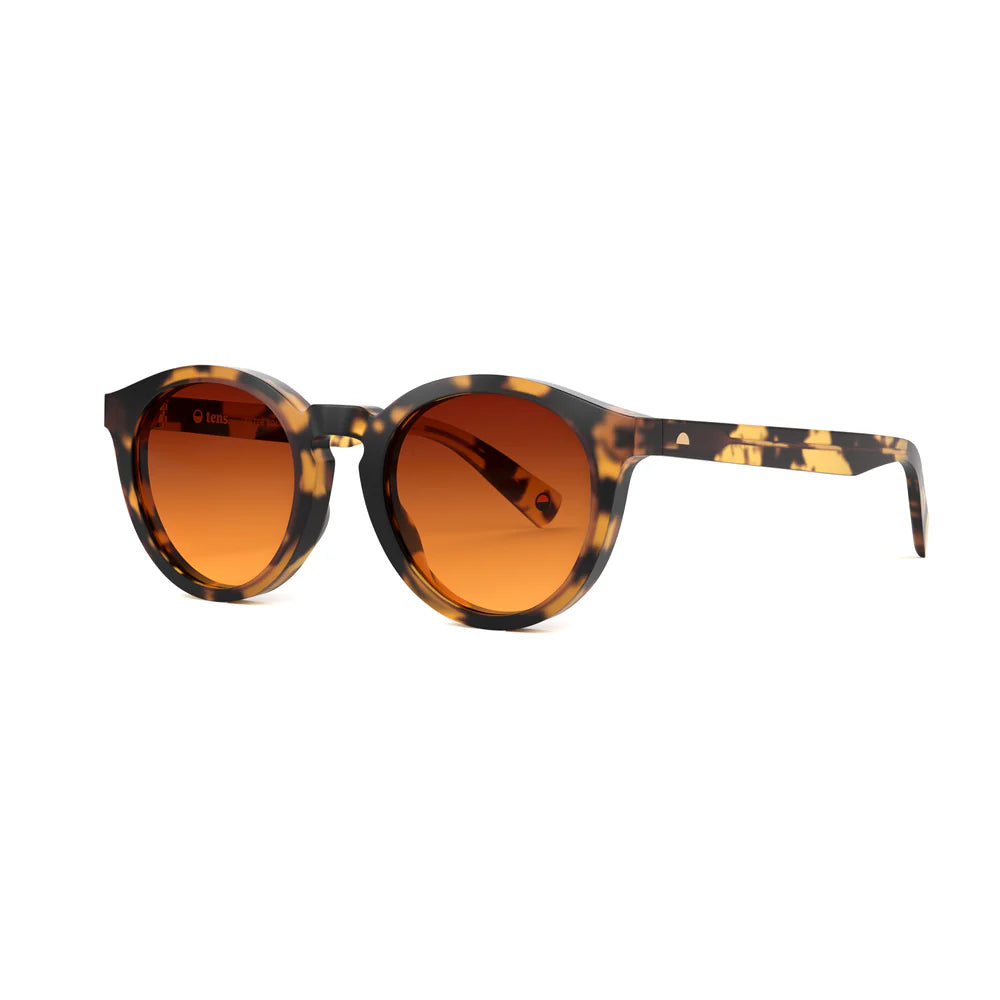 Bailey Matte Light Tortoise Sunglasses & Original Lens