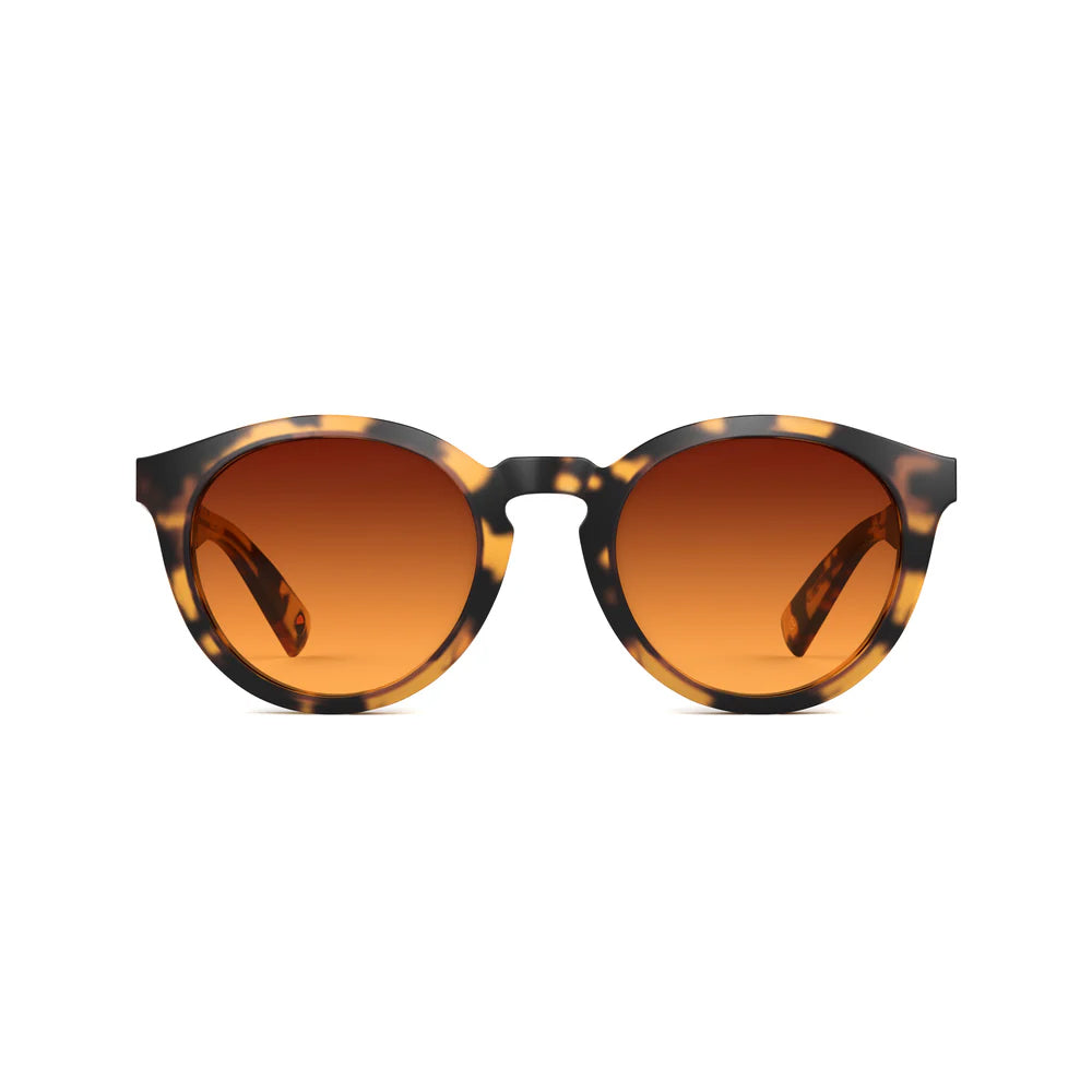 Bailey Matte Light Tortoise Sunglasses & Original Lens