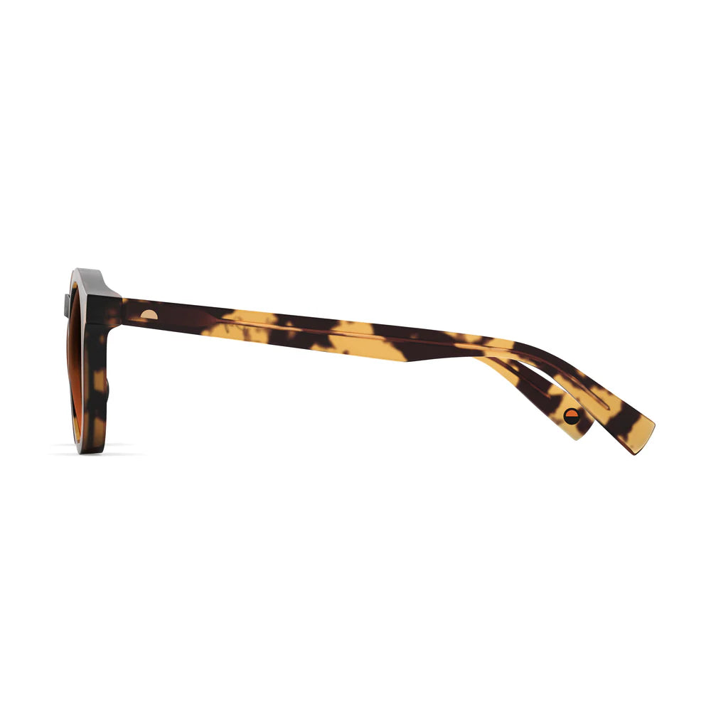 Bailey Matte Light Tortoise Sunglasses & Original Lens