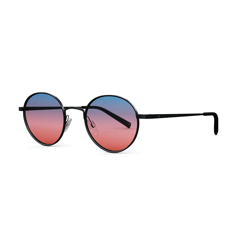 Billy Brushed Black Sunglasses & Boulevard Lens