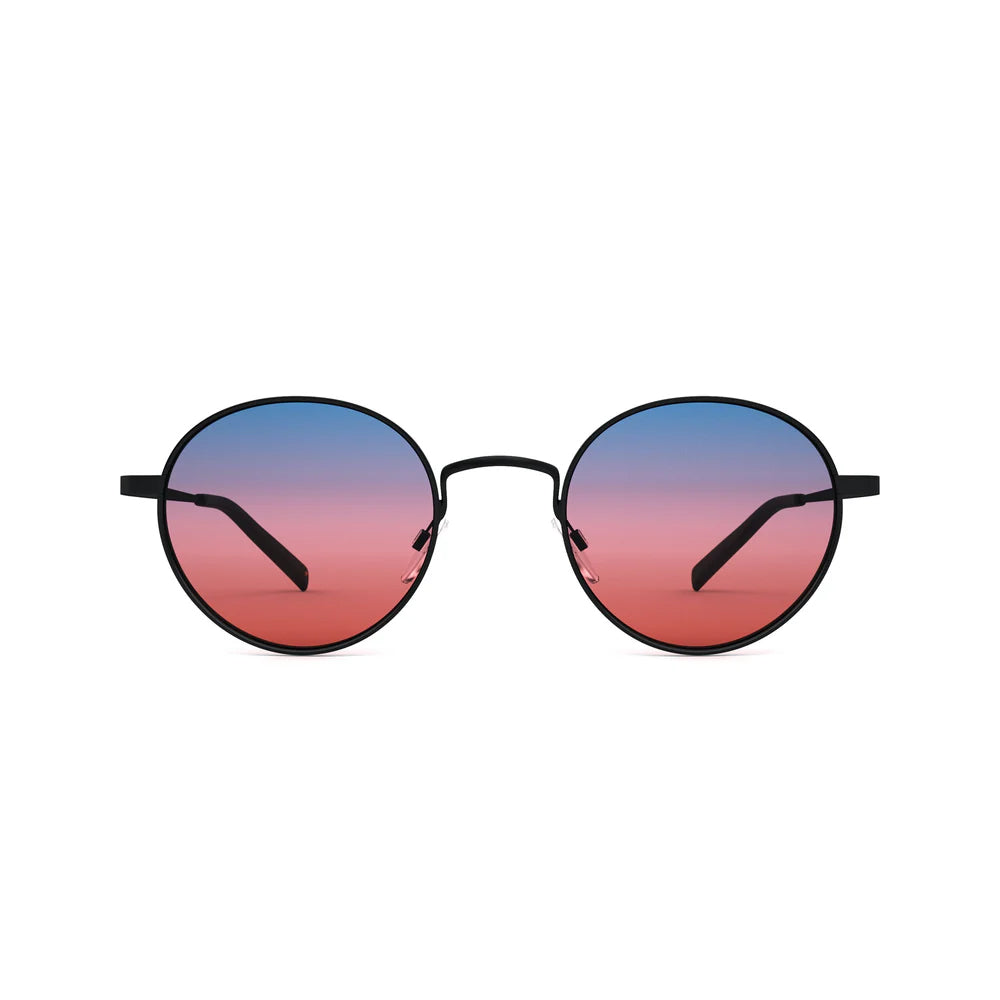 Billy Brushed Black Sunglasses & Boulevard Lens