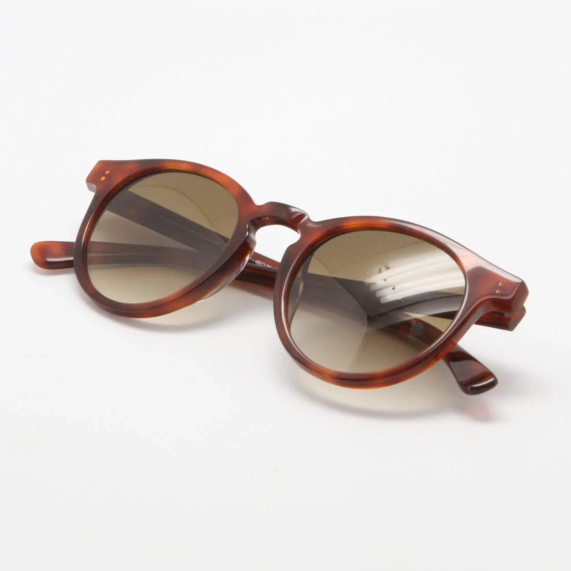 Cesar E81 Sunglasses - Tortoiseshell & Brown Gradient Lens