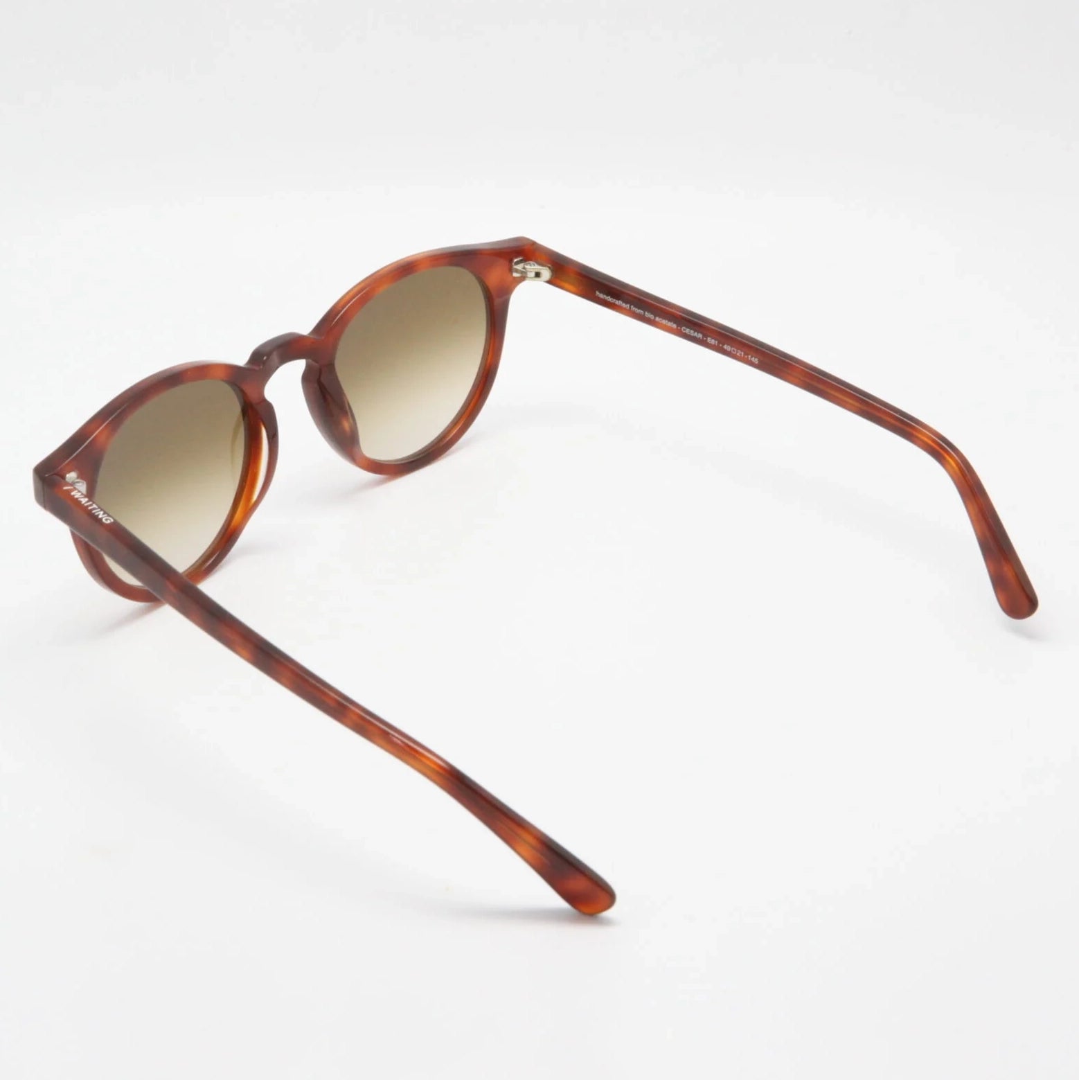 Cesar E81 Sunglasses - Tortoiseshell & Brown Gradient Lens