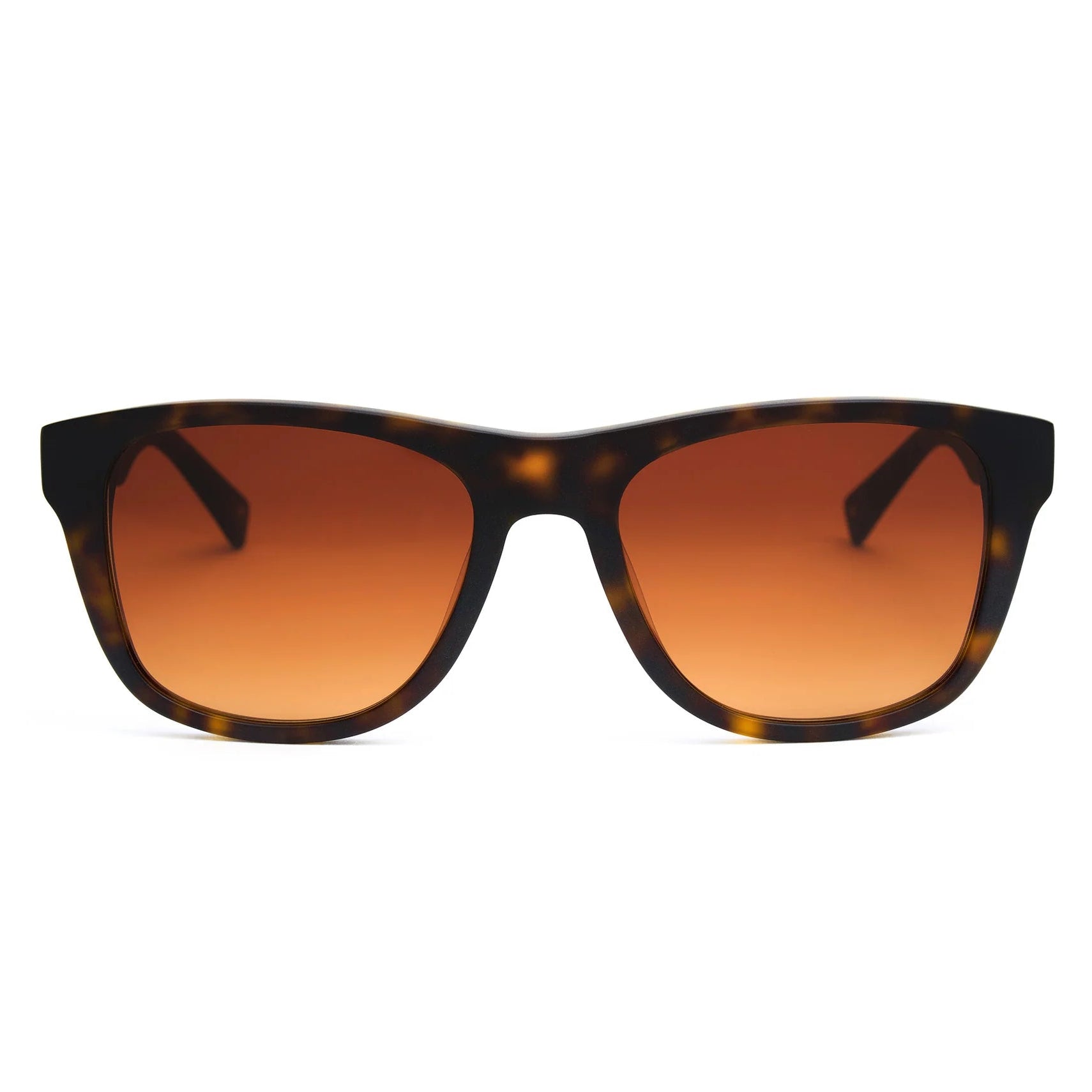 Classic New Matte Dark Tortoise Sunglasses & Original Lens