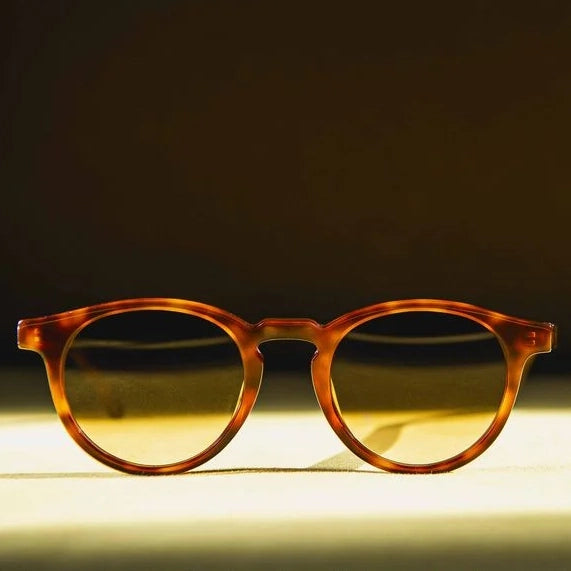 Cesar E81 Sunglasses - Tortoiseshell & Brown Gradient Lens