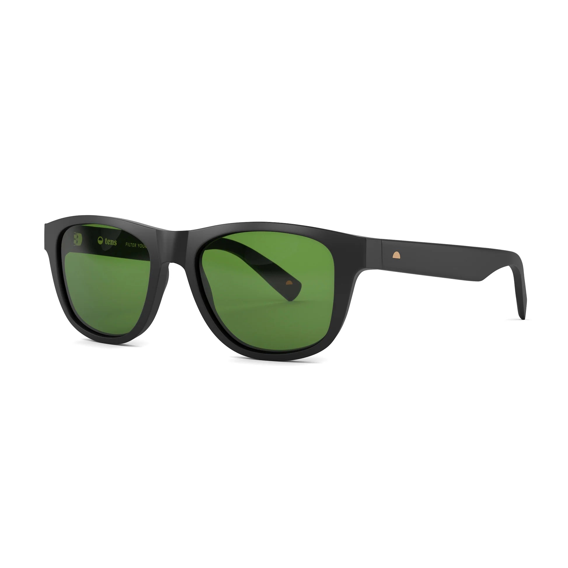 Classic Matte Black Sunglasses & Evergreen Lens