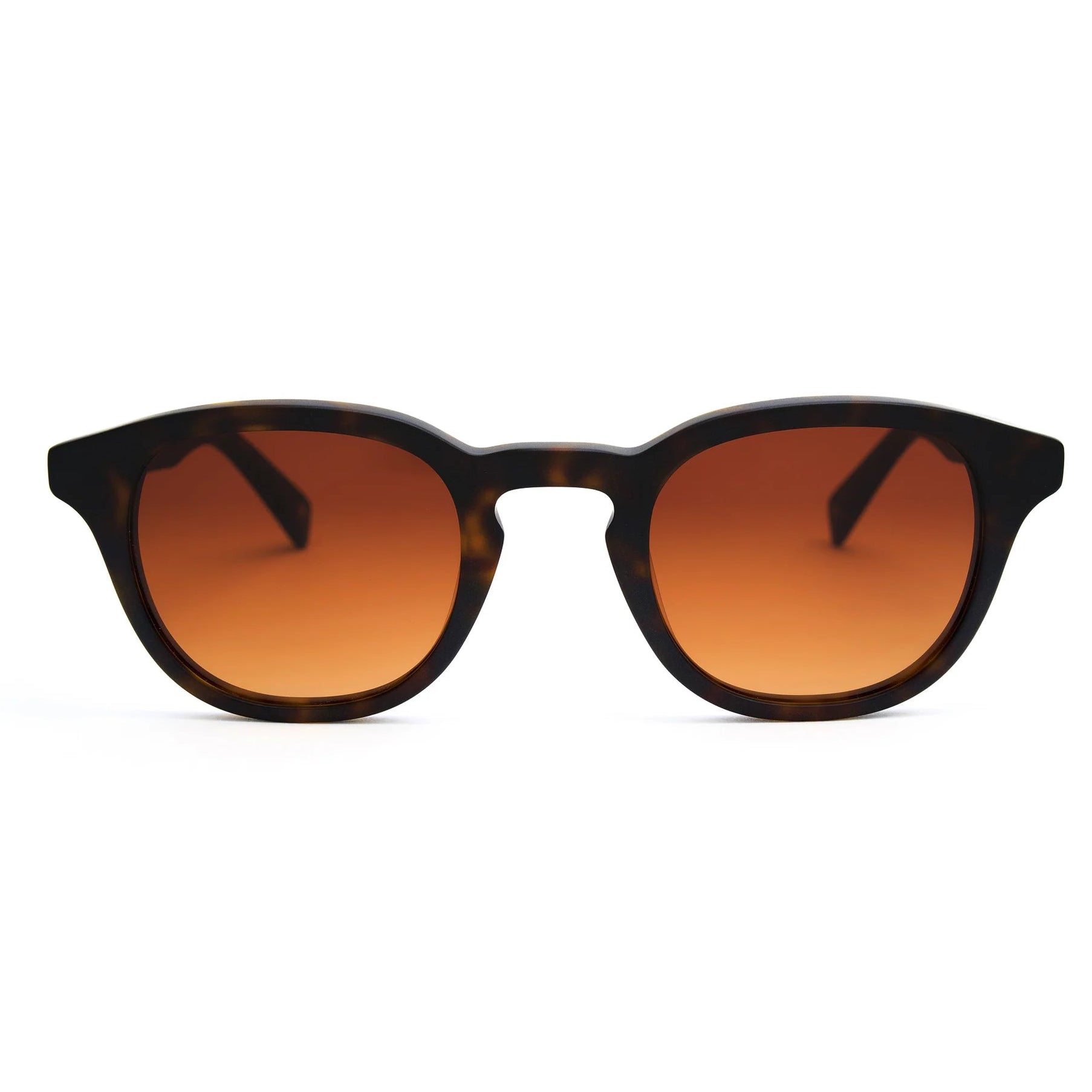 Dustin New Matte Dark Tortoise Sunglasses & Original Lens