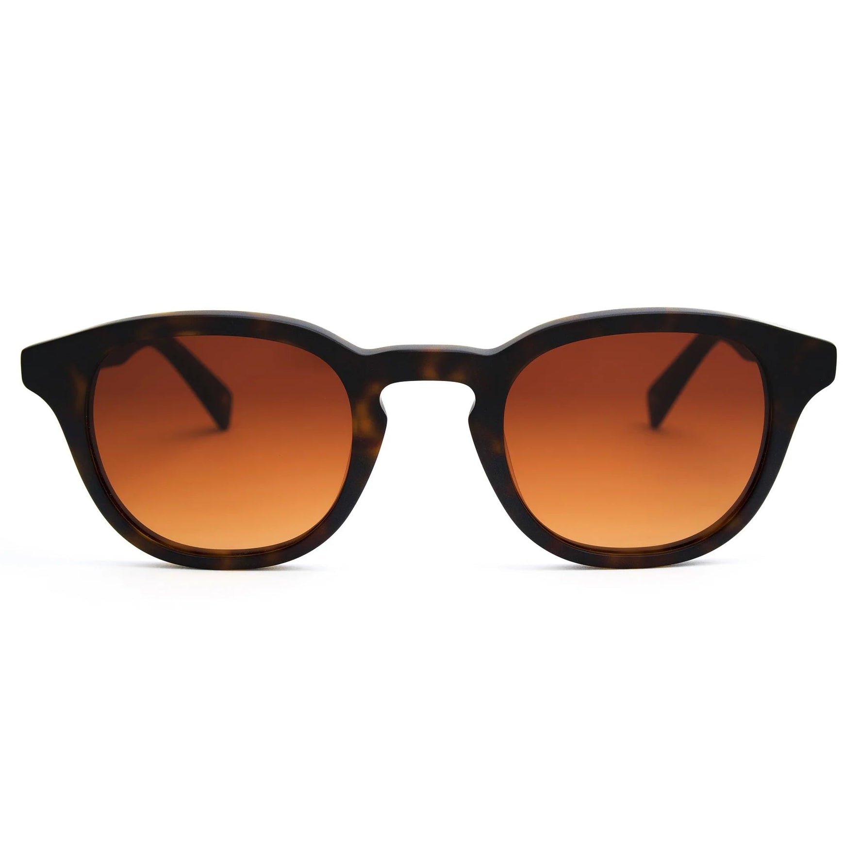 Dustin New Matte Dark Tortoise Sunglasses & Original Lens