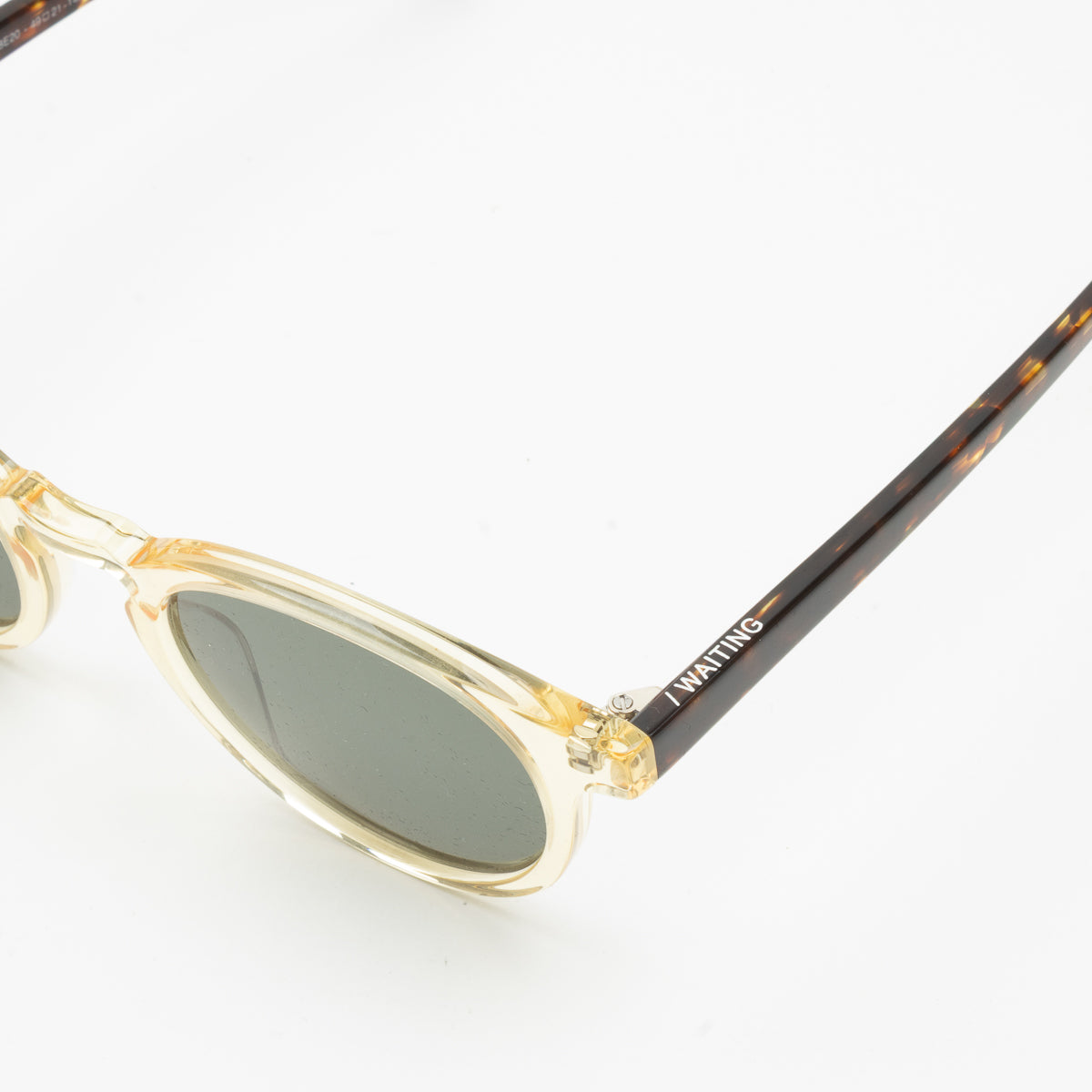Cesar E18E20 Sunglasses - Multi & Green Lens