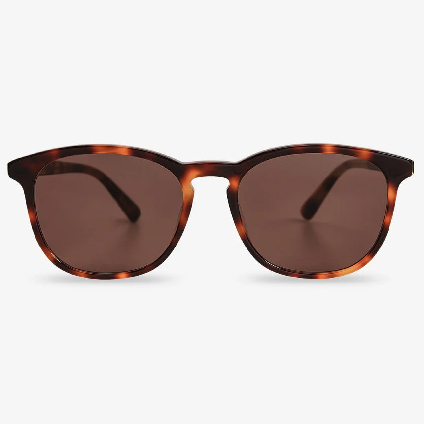 Sean Sunglasses - Tortoise & Brown Lens