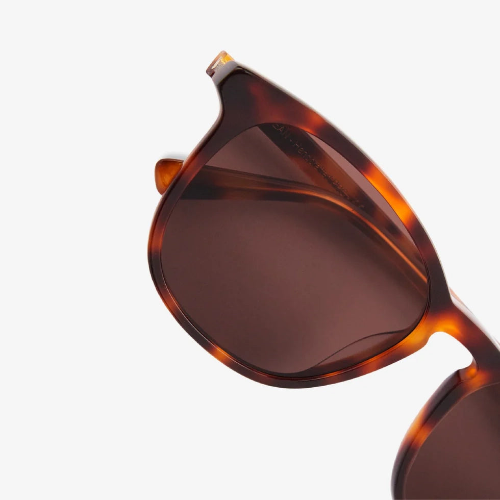 Sean Sunglasses - Tortoise & Brown Lens