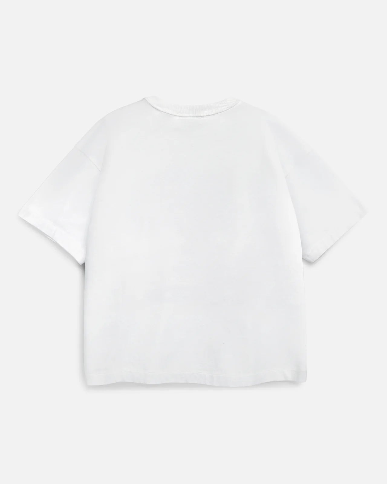 Triple T Shirt Mountains - White