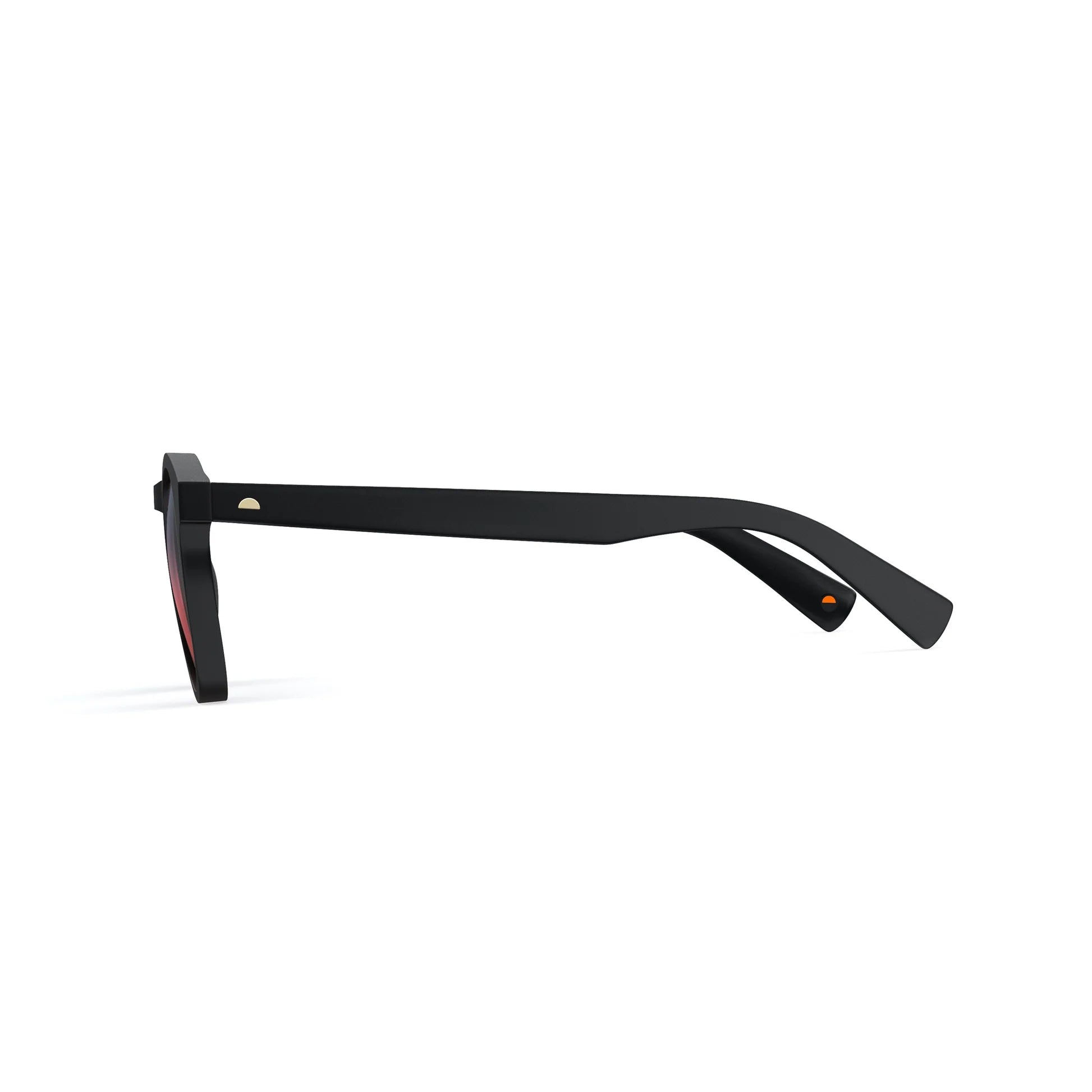Scout Matte Black Sunglasses & Boulevard Lens