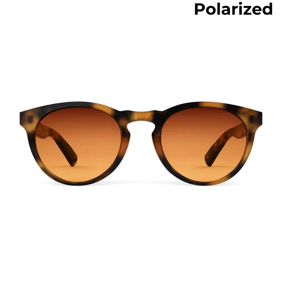 Scout Honeycomb Sunglasses & Polarized Lens