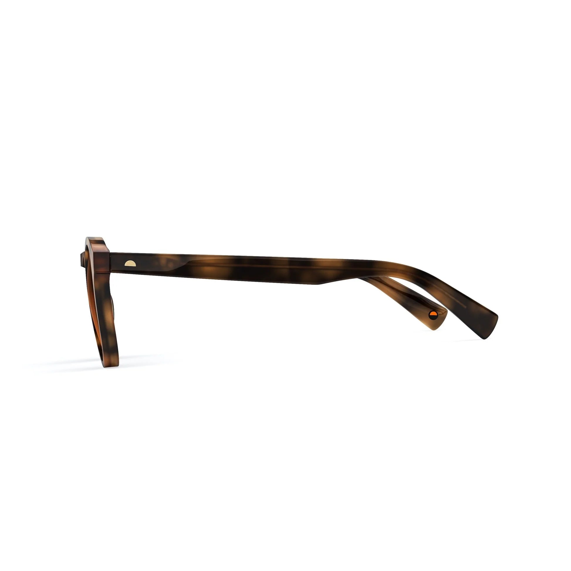 Scout Honeycomb Sunglasses & Polarized Lens