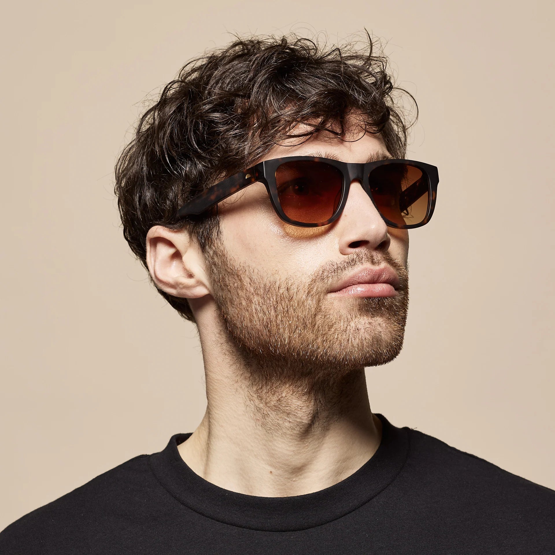 Classic New Matte Dark Tortoise Sunglasses & Polarised Lens