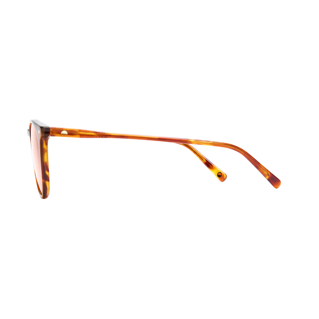 James New Maple Sunglasses & Spectachrome Lens
