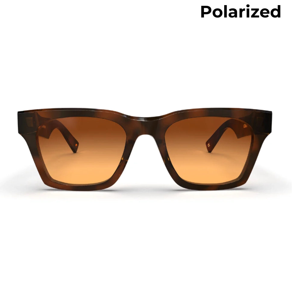 Casey Honeycomb Sunglasses & Polarized Lens