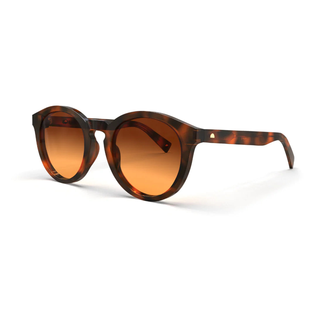 Bailey Honeycomb Sunglasses & Original Lens