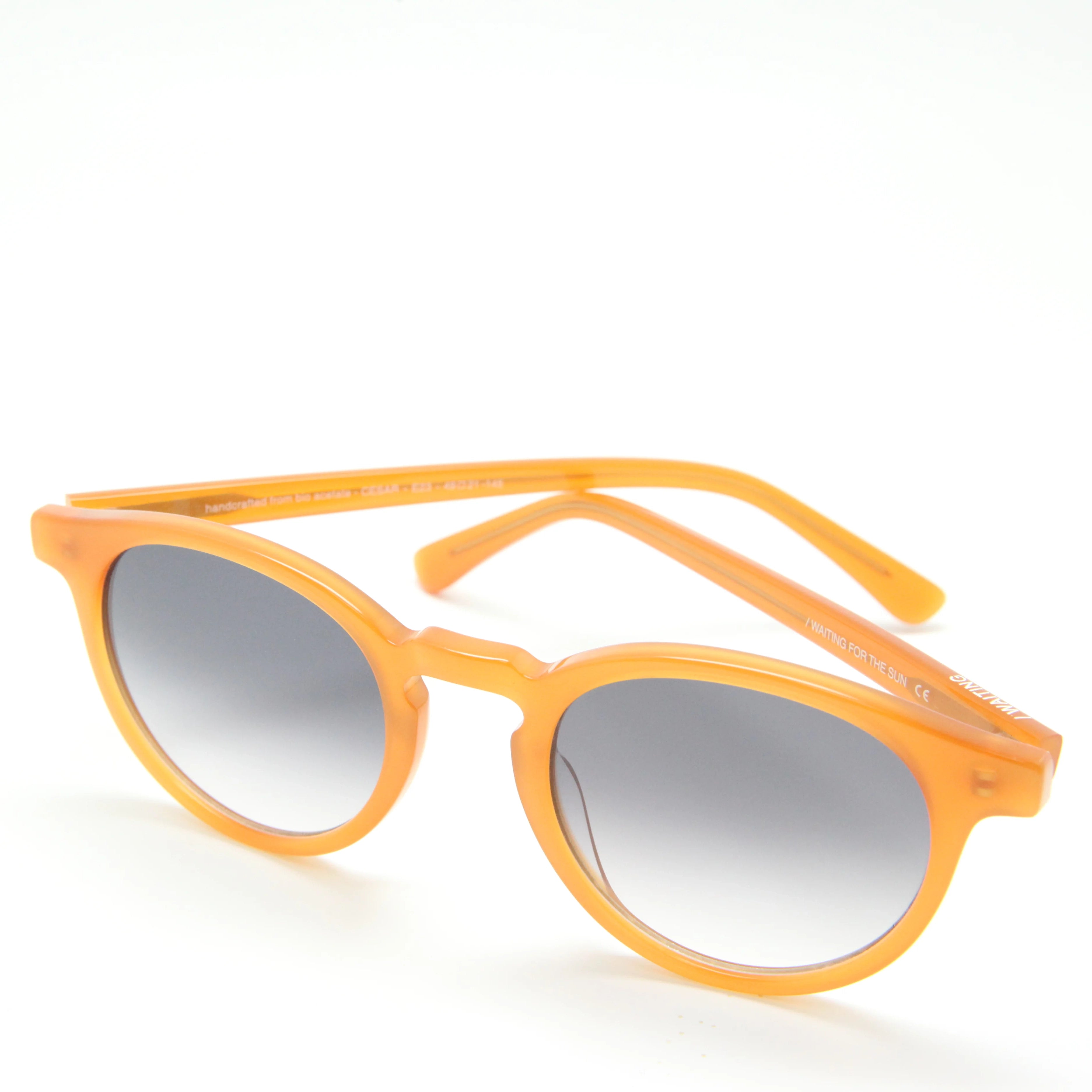 Cesar E23 Sunglasses - Walnut & Gradient Lens
