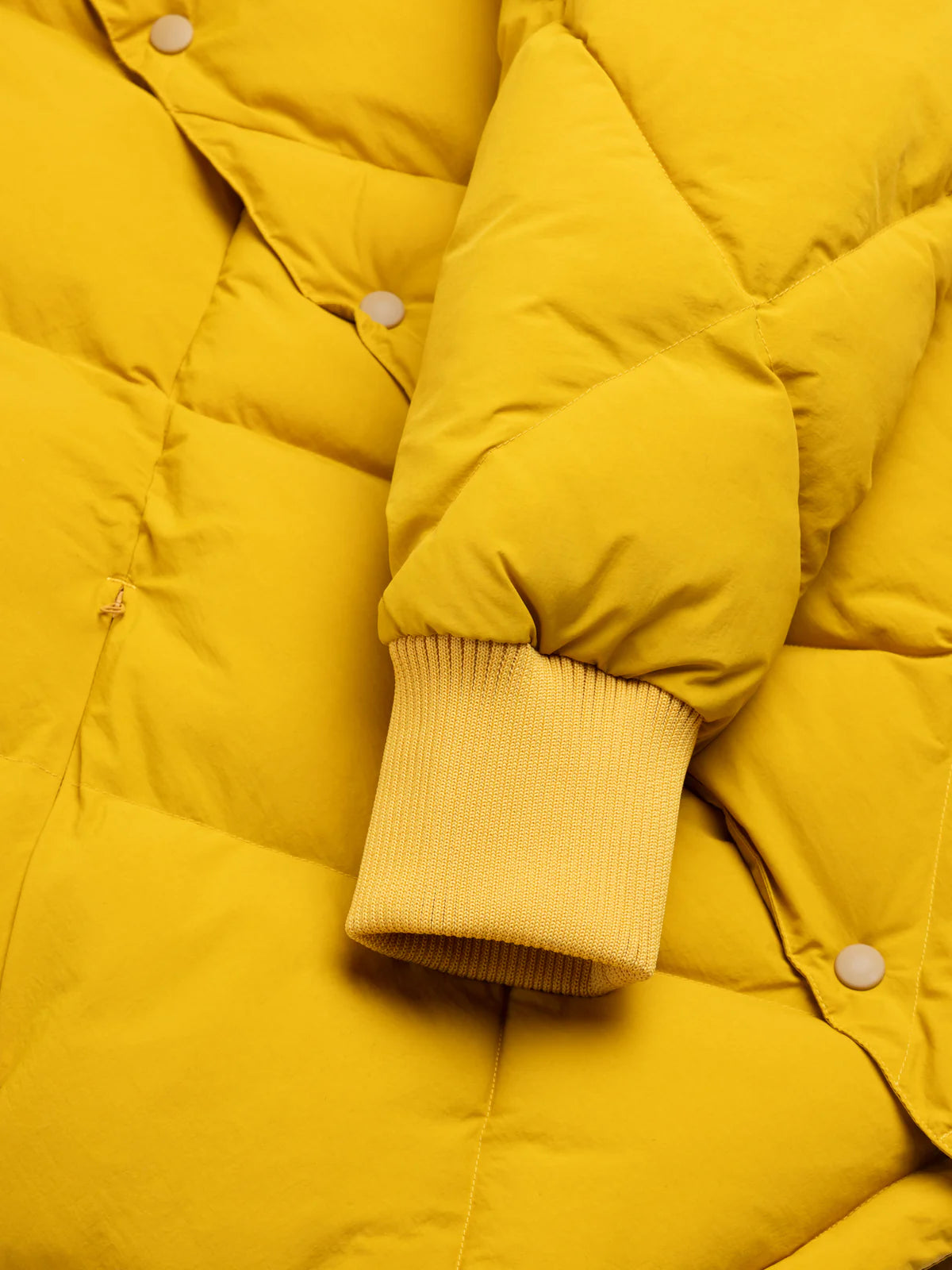 Dunbar Padded Jacket - Yellow Recycled Nylon