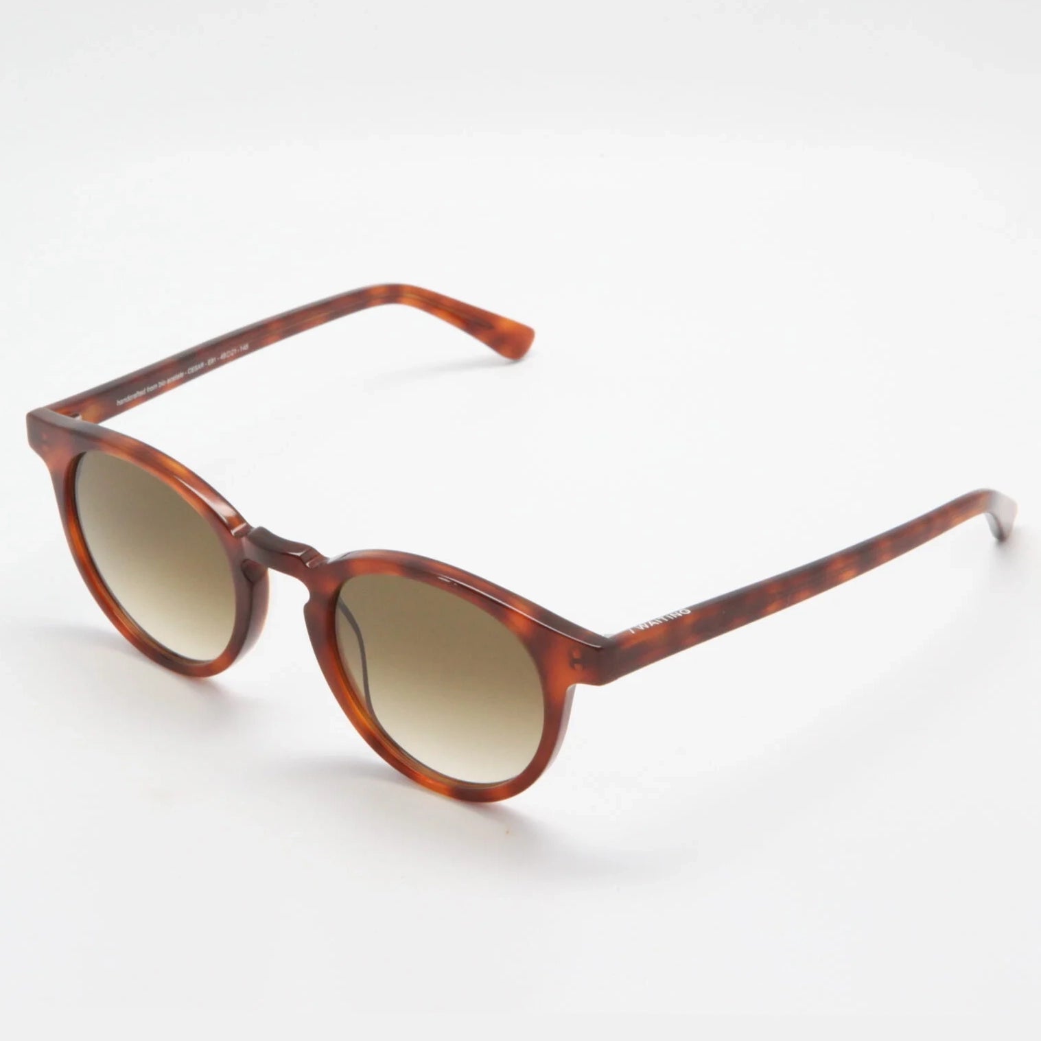 Cesar E81 Sunglasses -  Tortoiseshell & Brown Gradient Lens