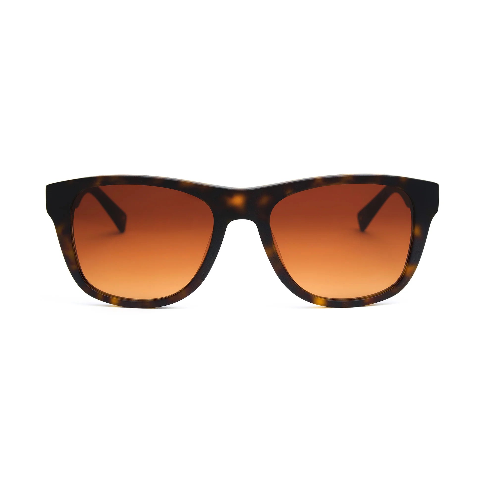 Classic New Matte Dark Tortoise Sunglasses & Original Lens