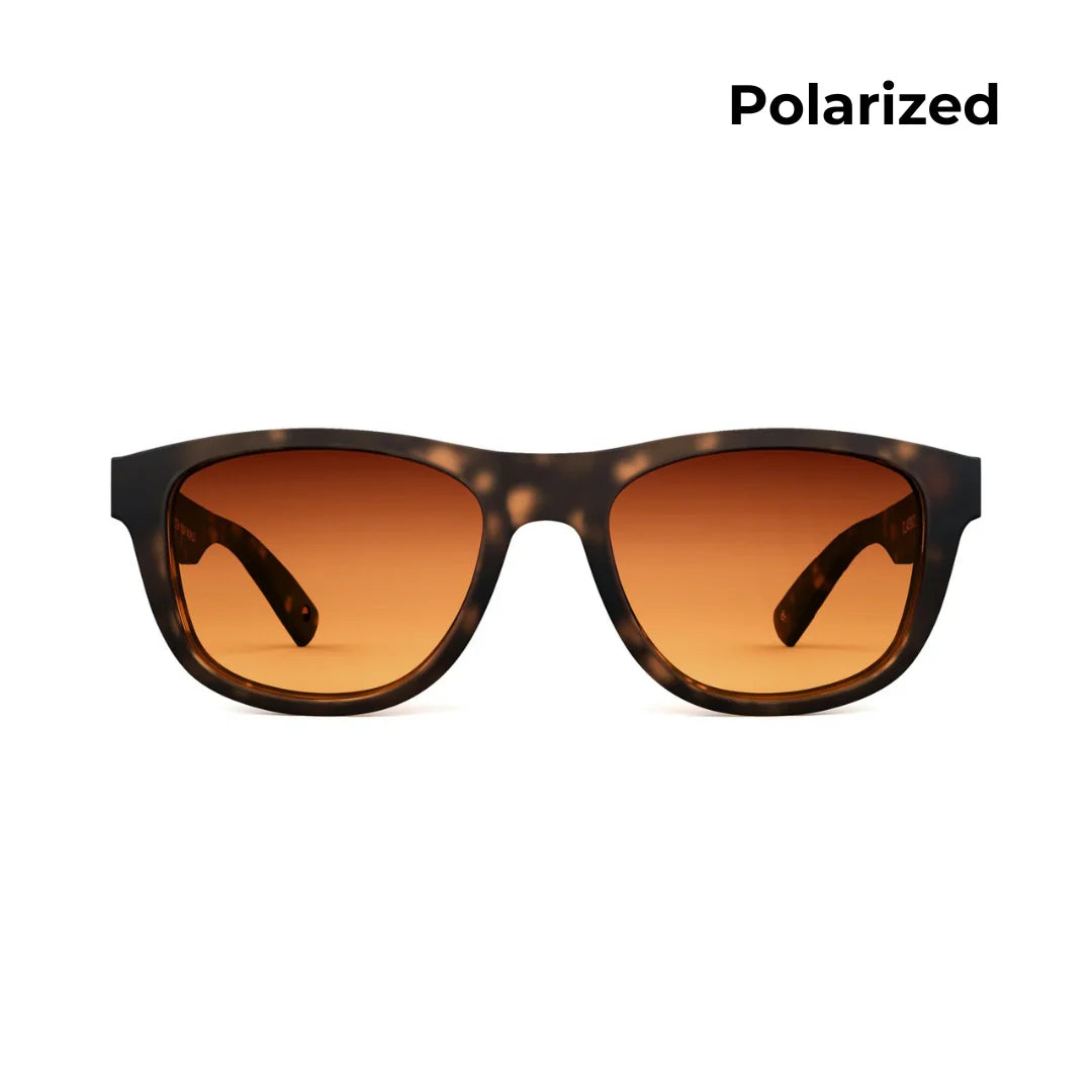 Classic New Matte Dark Tortoise Sunglasses & Polarised Lens