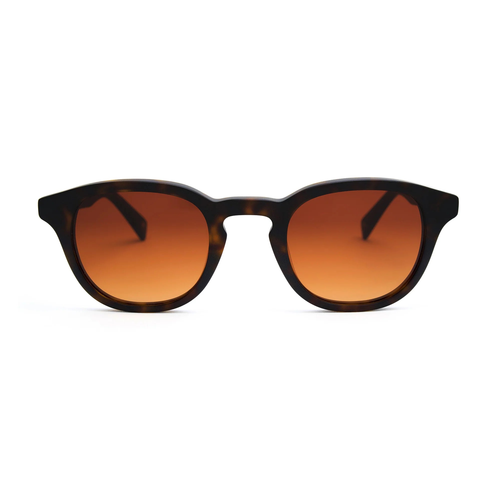 Dustin New Matte Dark Tortoise Sunglasses & Original Lens