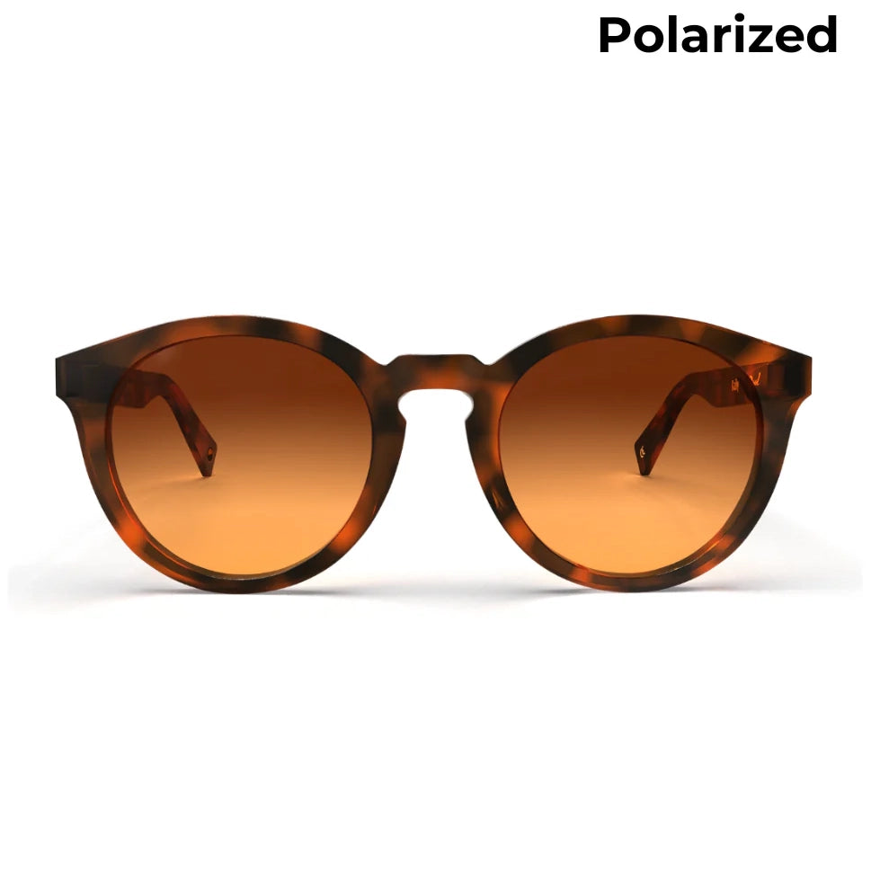 Bailey Honeycomb Sunglasses & Polarized Lens