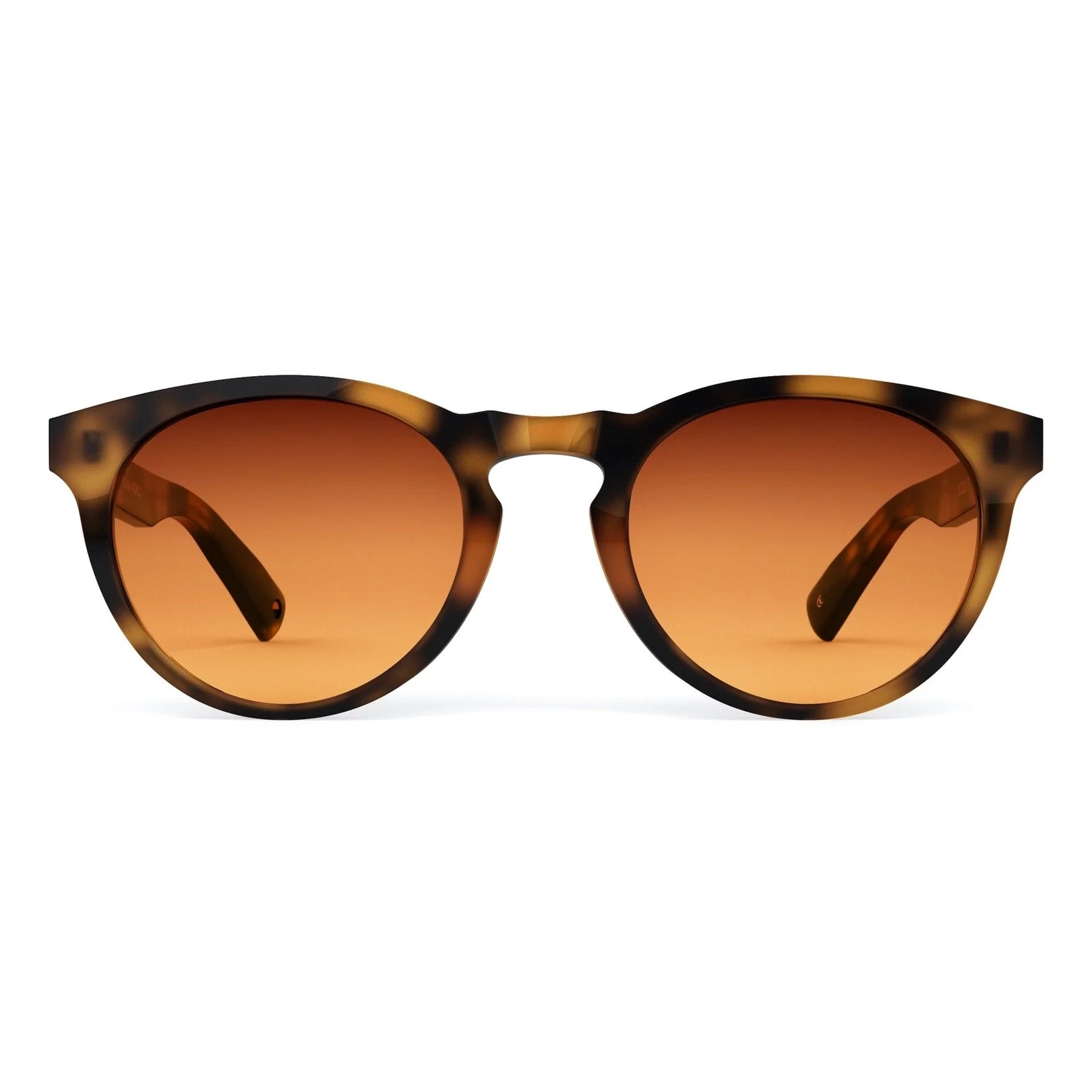 Scout Honeycomb Sunglasses & Original Lens