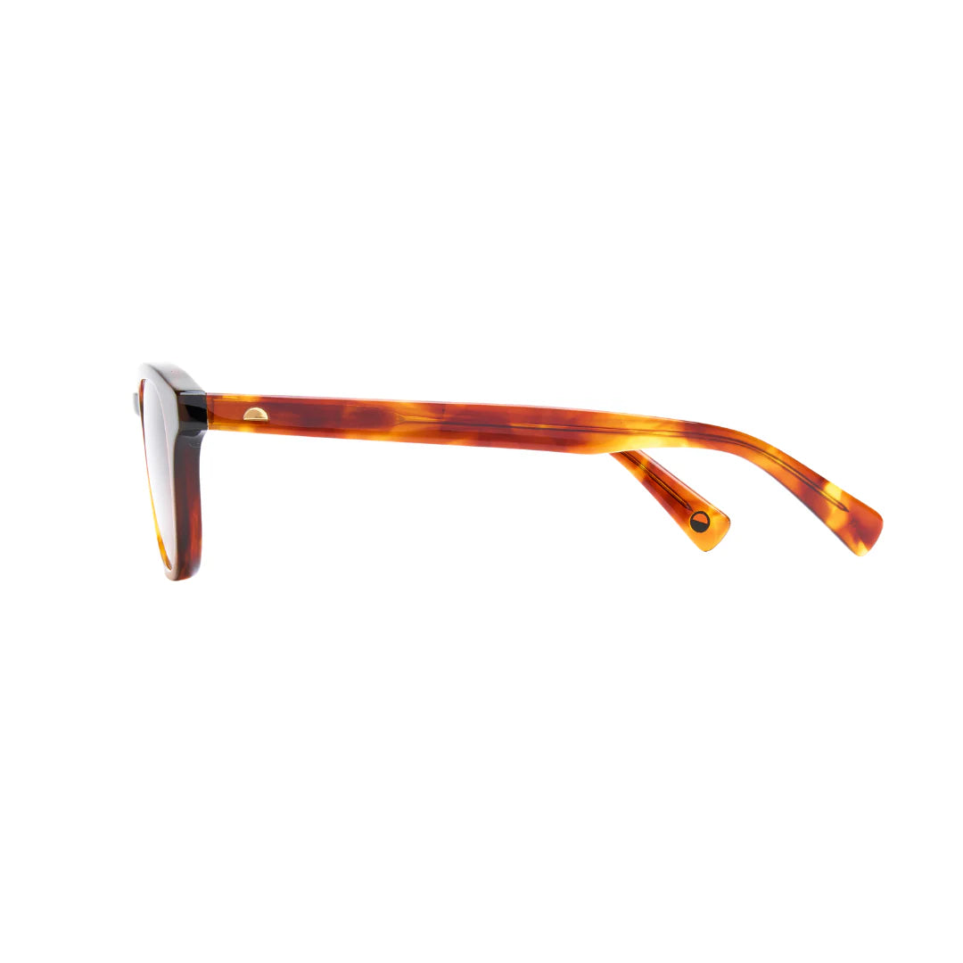 Dustin New Maple Sunglasses & Original Lens