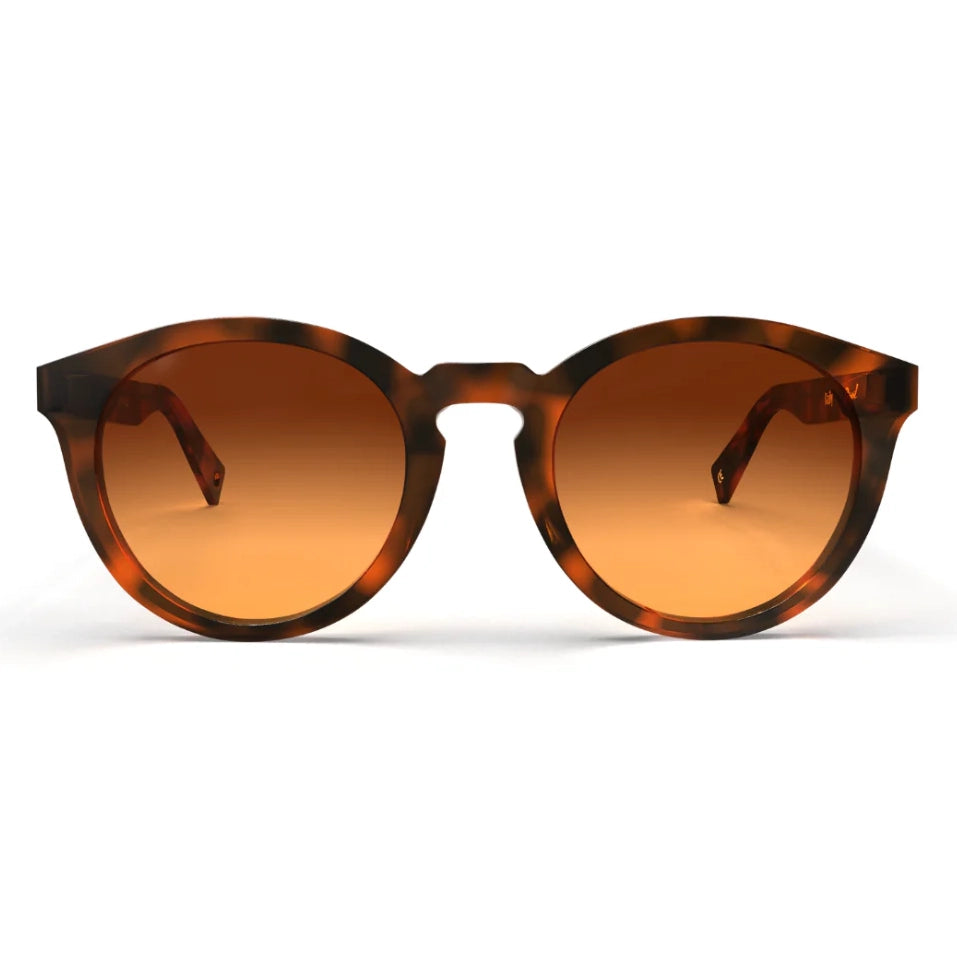 Bailey Honeycomb Sunglasses & Original Lens