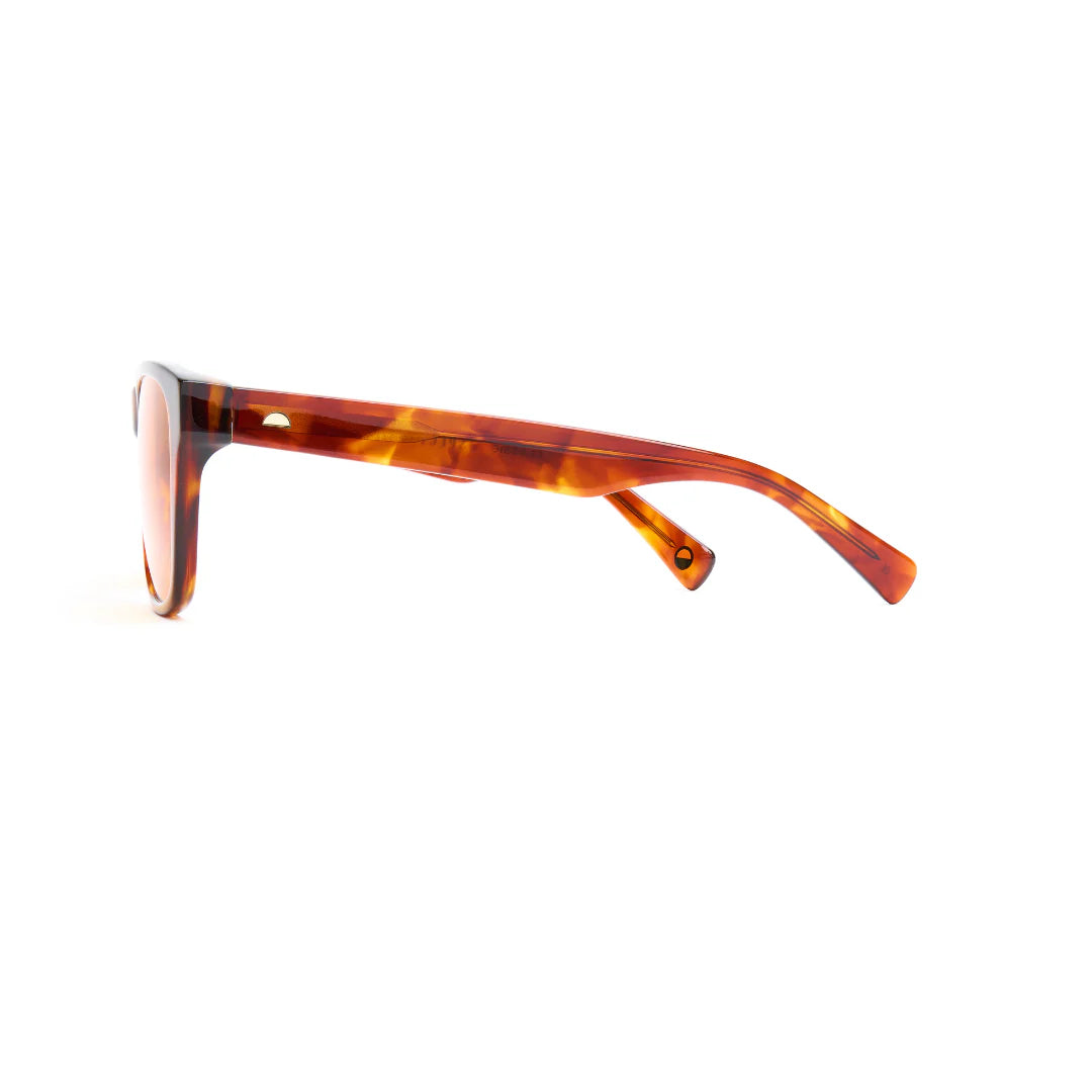Classic New Maple Sunglasses & Spectachrome Lens