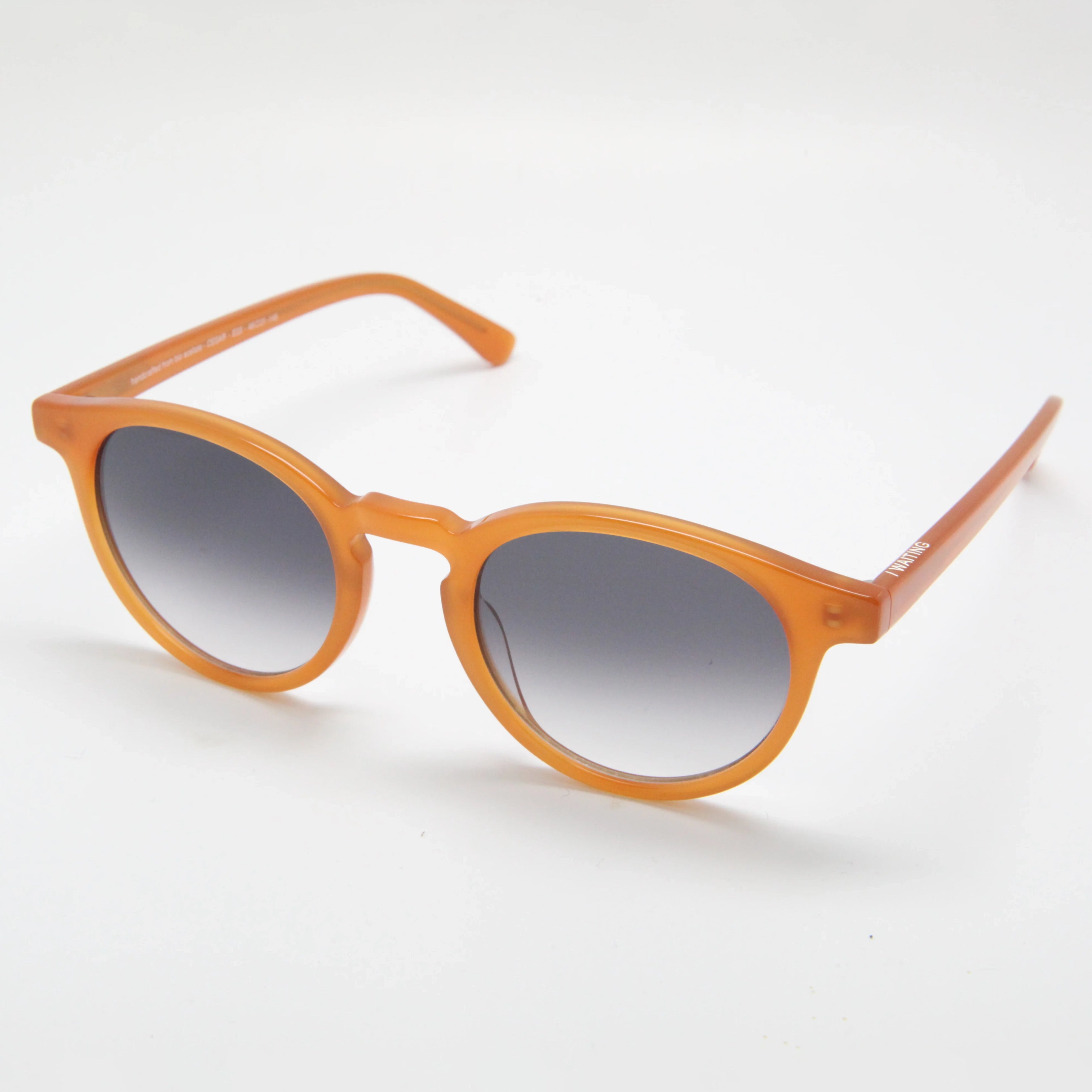 Cesar E23 Sunglasses -  Walnut & Gradient Lens